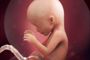 Малыш на 16 недели беременности