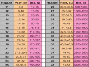 Вес плода на 36 неделе беременности норма