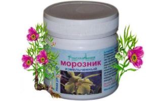 Лекарство морозник для похудения
