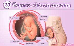 20 Недель беременности шевелений вторая беременность