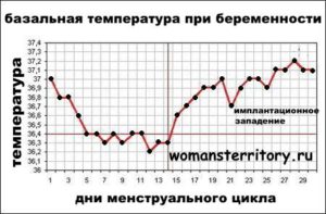 Температура 37 держится неделю при беременности