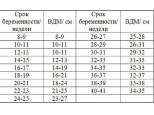 30 Недель высота стояния дна матки