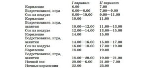 Режим дня с 6 месяцев