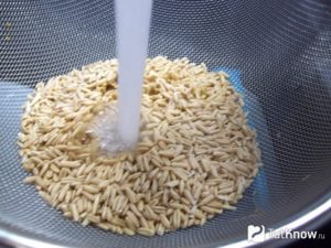 Как приготовить овсянку из цельного зерна?