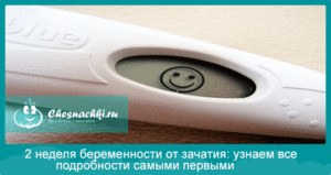2 Недели беременности от зачатия признаки