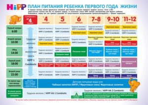 Режим прикорма в 6 месяцев по часам