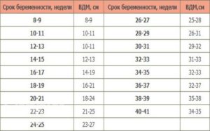 Высота дна матки 11 неделе беременности