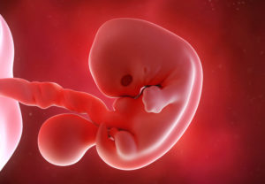 Седьмая акушерская неделя беременности ощущения