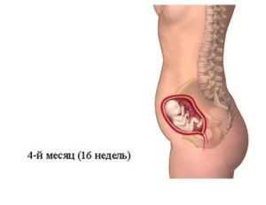 Покалывания животе 16 неделе беременности