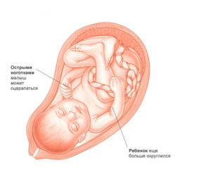 Ребенок 40 недель