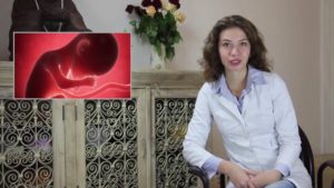 Беременность 38 недель видеогид по беременности