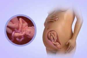 Болит кишечник на 35 неделе беременности