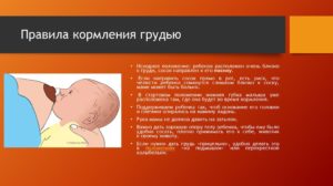 Правила кормления новорожденного грудным молоком
