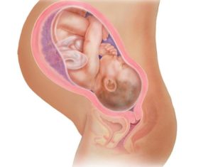 Озноб 39 недели беременности