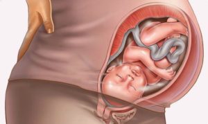 9 Месяц беременности диарея отзывы 38 неделя