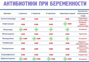 Принимала антибиотики в первые недели беременности