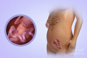 Орви на 18 неделе беременности