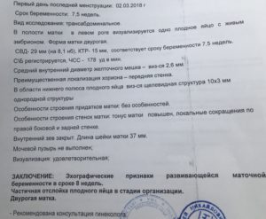 6 Недель беременности от последних месячных