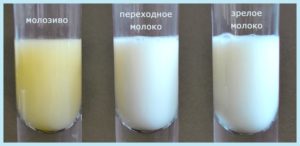 Молозиво на 4 неделе беременности