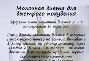 Монодиеты для быстрого похудения отзывы