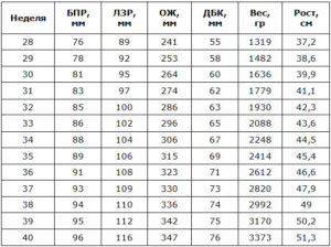 Бпр плода в 20 недель