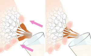 Массаж для сцеживания груди