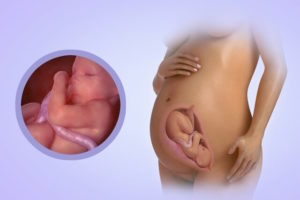 31 Неделя беременности молозиво