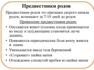 36 Неделя беременности предвестники родов форум