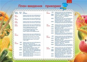 Прикорм с 6 месяцев по часам