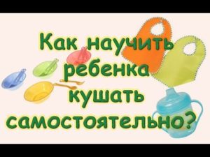 Как научить ребенка есть самому ложкой комаровский?