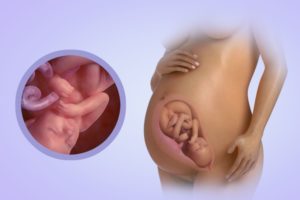 Токсикоз на 37 неделе беременности