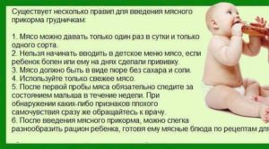С какого возраста можно мясо ребенку