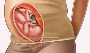 30 неделя беременности акушерская