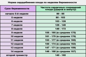 Сердцебиение плода 38 39 недель