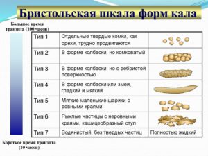 Диета бристольская