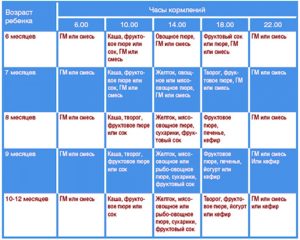 Режим дня в 6 месяцев с прикормом