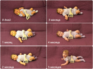 Новорожденный ребенок 5 месяца что должен уметь