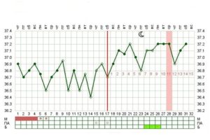12 Недель беременности температура 37 1