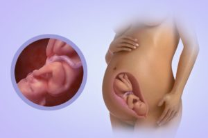 Выделения на 33 34 недели беременности