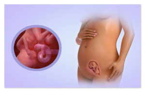 12 Недель беременности тяжесть животе