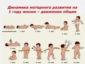 Как развивается младенец?
