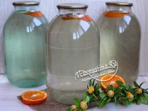 Рецепты закрывания сока березового