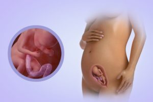 Тяжесть в животе при беременности 20 недель