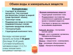 Роль воды в обмене веществ и энергии