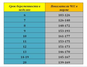 Сердцебиение на 16 неделе беременности