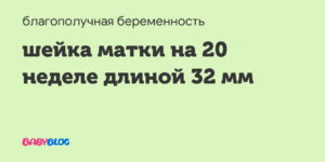 Длина шейки матки на 20 неделе