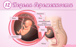 Ощущения женщины на 12 неделе беременности