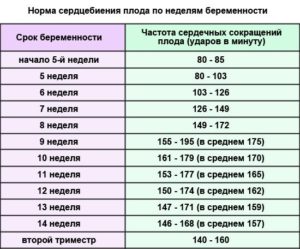 Нет сердцебиения у плода 8 недель форум