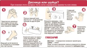 Как проверить ребенок правша или левша?