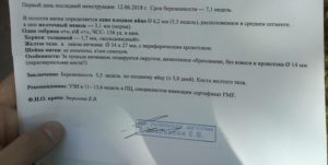 6 Недель беременности от последних месячных